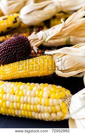 Flint Corn