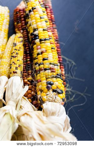 Flint Corn
