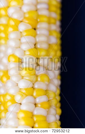 Flint Corn