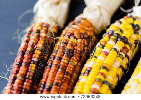 Flint Corn