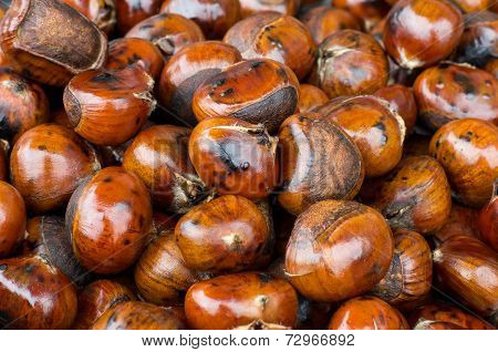 Chestnut