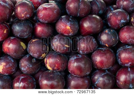 Red Plum