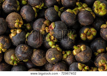 Mangosteen