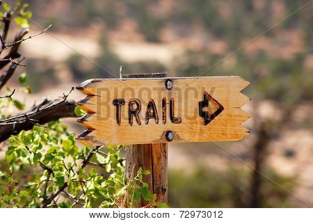 Brown Directional Sign For A Trail Pointing To The Right