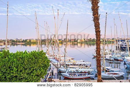 The Nile In The Morning
