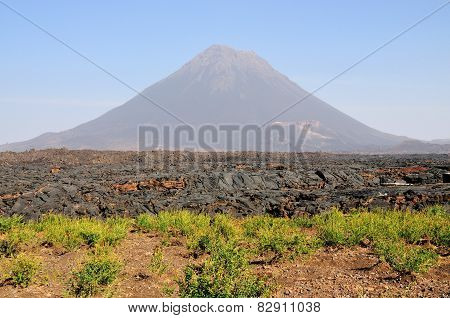 Farmland By The Lava Field