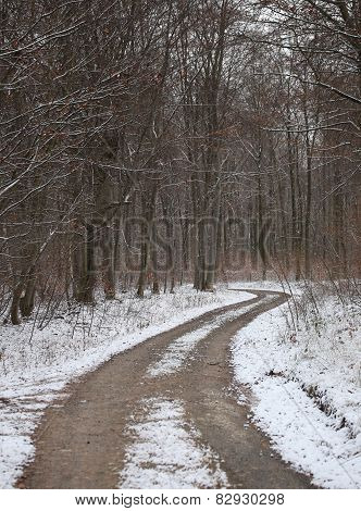 Snow Road
