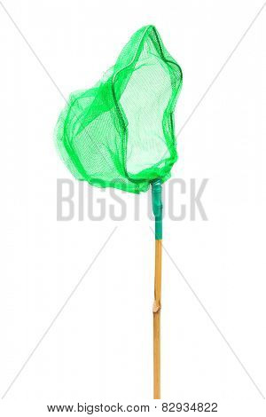 green butterfly net on a white background