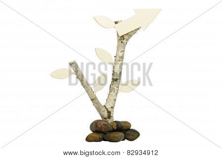 Birch with wooden arrow