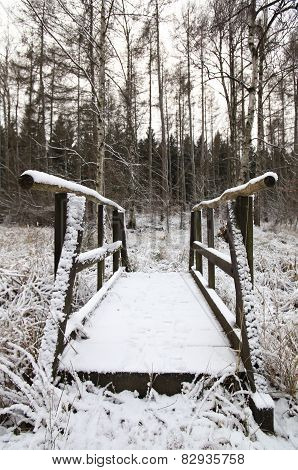 Snow Bridge