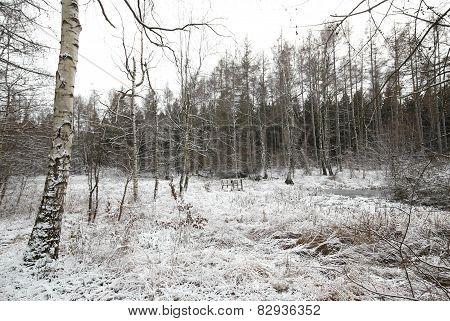 Frozen Lake Panorama