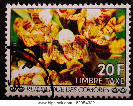 Comoros - Circa 1977 : Postage Stamp Printed Comoros Shows An Image Of Exotic Flowers Yellow On The
