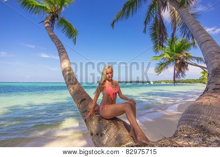 Beautiful Girl and tropican landscape
