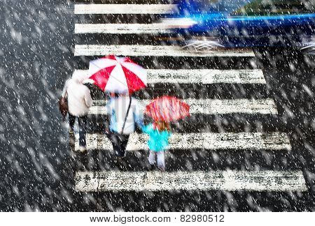 Pedestrian Crossing In Tzhe Snowstorm