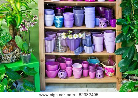 Flowerpots In A Shelf In A Market