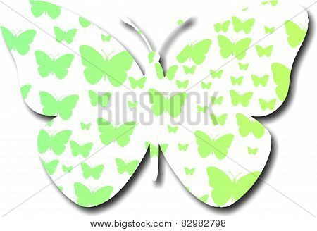 buttefly