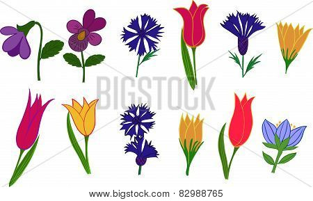 A set of images of different flowers.