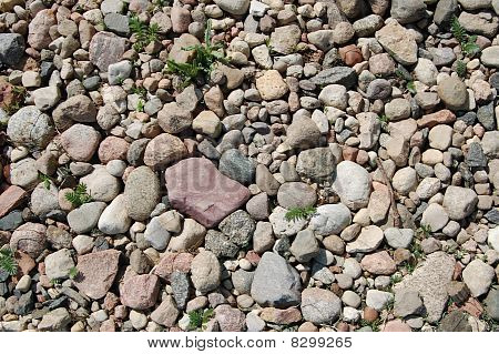 Stone