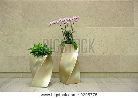 ロビーの美しい蘭の花