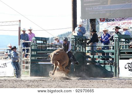 Ty Pozzobon Invitational Pbr