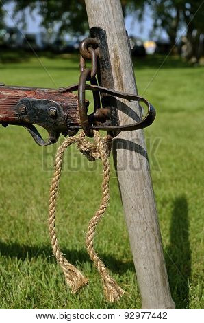 Hitching pole held by a single tree
