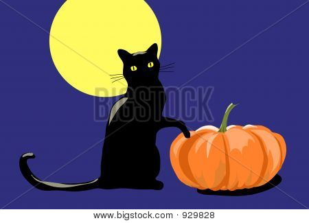 Halloween kat