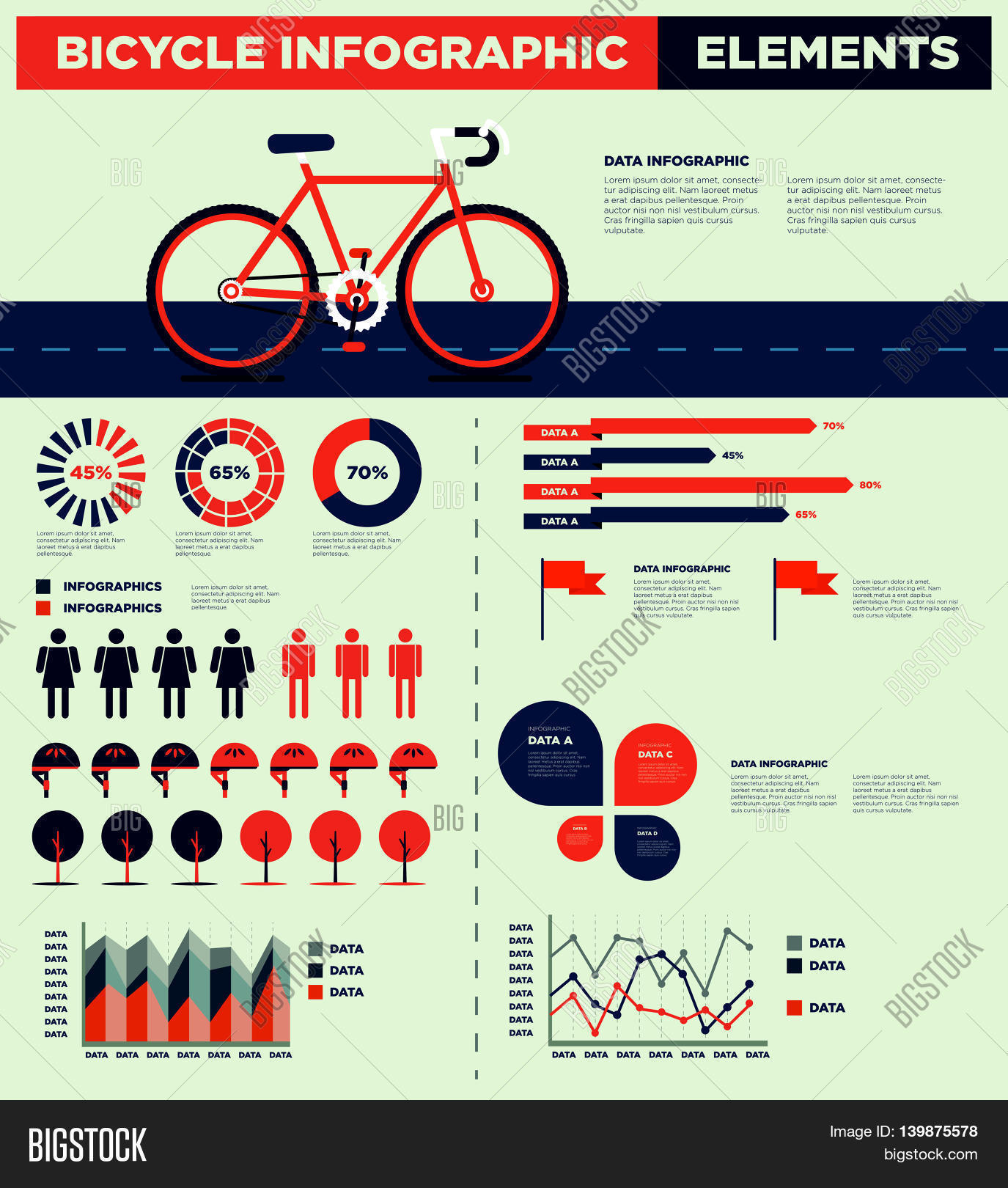 Bicycle Infographic Vector & Photo (Free Trial) Bigstock