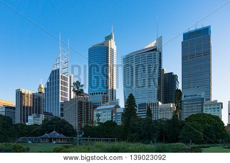 Sydney Central Business District skyline viewed from the Domain. Downtown skyscrapers of Sydney city with copy space. NSW Australia