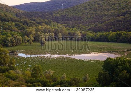 View of Lake Doberdò sinkhole in the Province of Gorizia Friuli-Venezia Giulia Italy