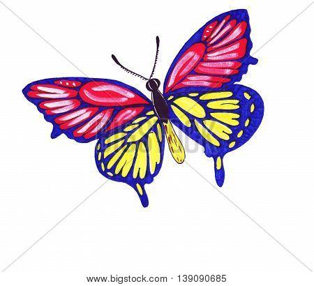 Illustration butterflies of different shapes, different colors and patterns