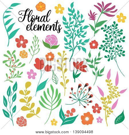 Hand drawn floral elements set with leaves and flowers of different shape and color isolated vector illustration