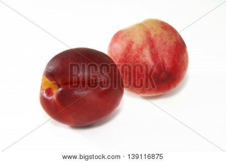 Two nectarines on white, Prunus persica nectarina
