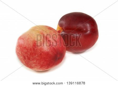 Two nectarines on white background, Prunus persica nectarina