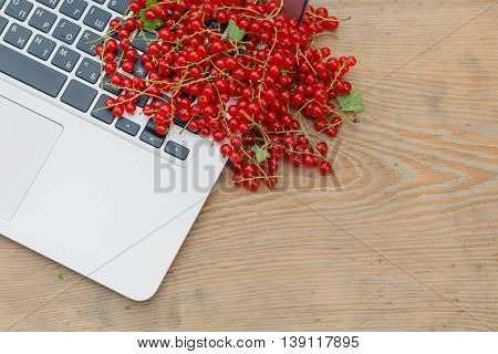 Work In Summer Garden On Laptop