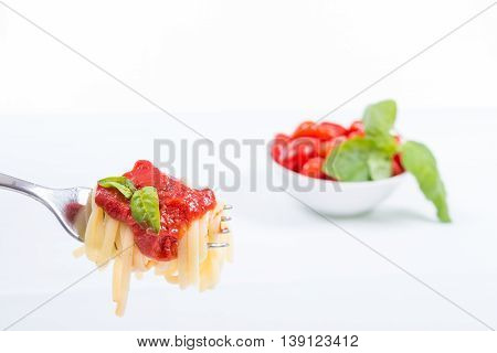 Forkful with succulent and tasty spaghetti with tomato sauce and basil