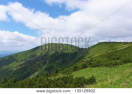Sunny Summer Day In Krkonose Mountains National Park