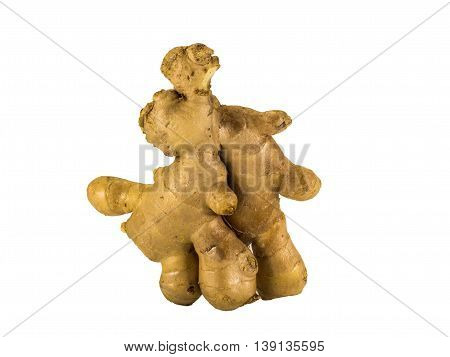Fresh ginger root or rhizome isolated on white background with clipping path