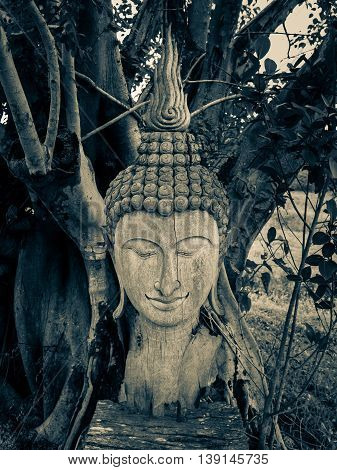 Ancient wooden Buddha statue head cracked and burned on bodhi tree background in hermitage at northern of thailand Split Tone Filter
