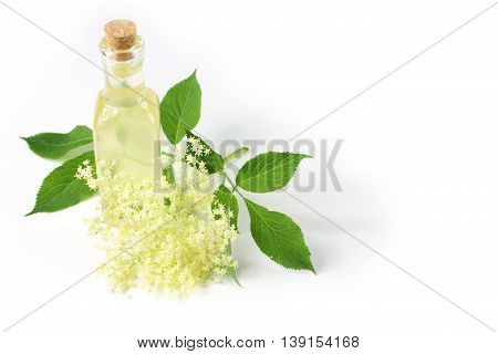 Sambucus nigra elderberry sirup on white background. Bottle of excellent syrup with flowers and leaves.