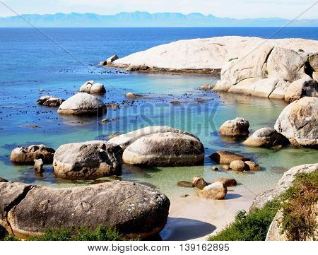 Peaceful relaxing seaview. Landscape. Boulders Beach Nature Reserve. Western Cape South Africa. Romantic place. 