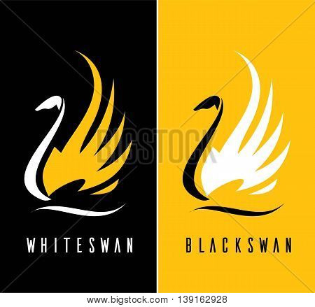 Beautiful swan. Elegance Swan. Swan on the water spread out its wing. Swan. Swan lake .