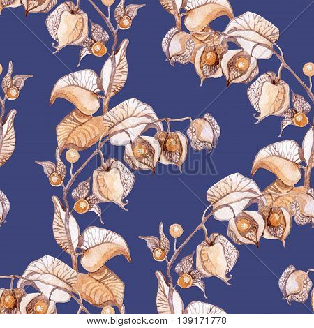 Winter cherry watercolor seamless pattern. Hand painted bnackground