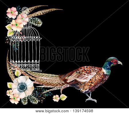 Watercolor Swinhoe pheasant card. Hand painted illustration with Anemones herbs feathers pheasant and bird cage