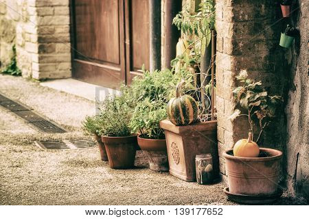 Empty street of small Tuscany town San Quirico d'Orcia in the morning fog with halloween pumpkin decorations. Romantic travel vintage hipster european italy background