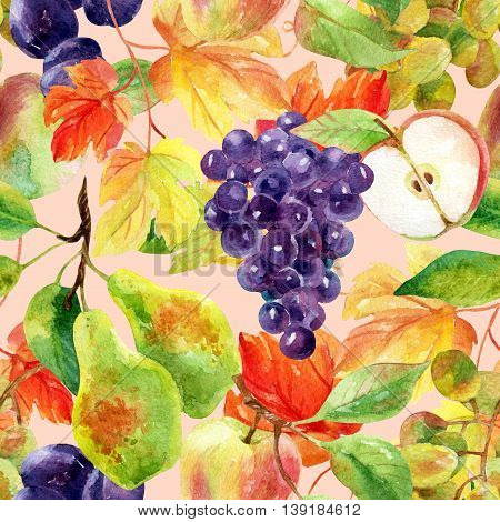 Fruits and berries seamless pattern. Watercolor grapes apples pears and plums. Hand painted illustration