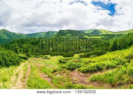 Carpathian Mountains. Mountain trail to the highest mountain of Ukraine Hoverla. Chornogora ridge.
