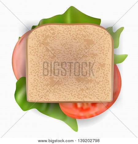 Ham and vegetable sandwich in transparent bag eps10 vector