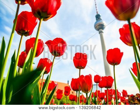 Tv Tower, Berlin Hdr