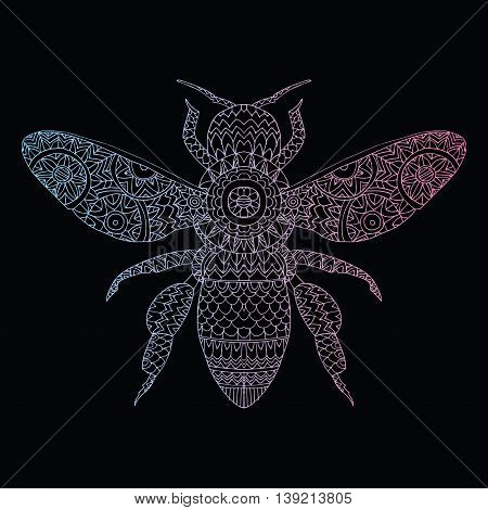 Beetle deer. Horned Beetle. Big. Insect. Set. Line art. Black and white drawing by hand. Graphic arts. Doodle. Tattoo. Lucanus cervus.