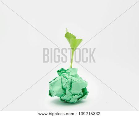 Green sapling in green paper ball shape